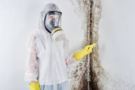 Best Mold Odor Removal Services  in Renovo, PA